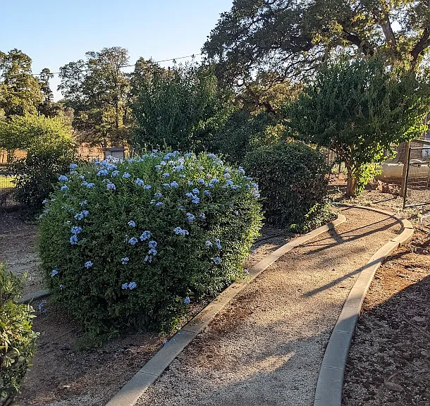 5660 Bell Rd — Photo 21