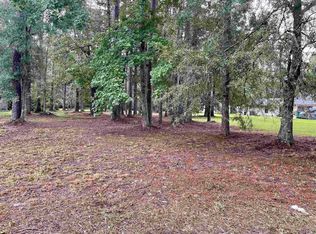 31387 River Pines Dr, Springfield, LA 70462