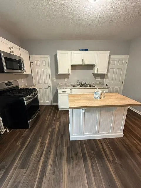 1 bed, 1.0 bath, 800 sqft, $1,320 — Photo 4