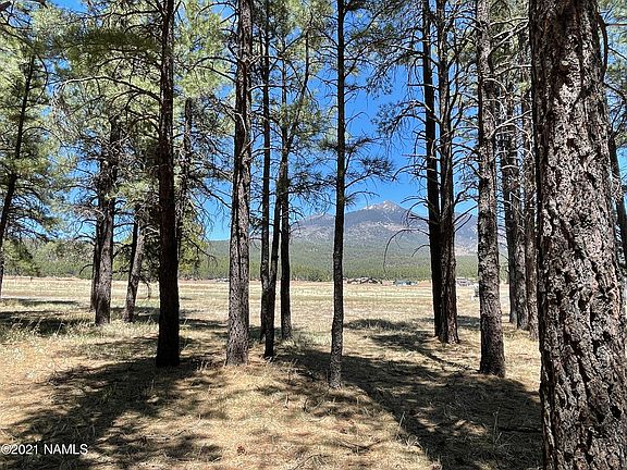 4th image of 8626 Vista Peak Way