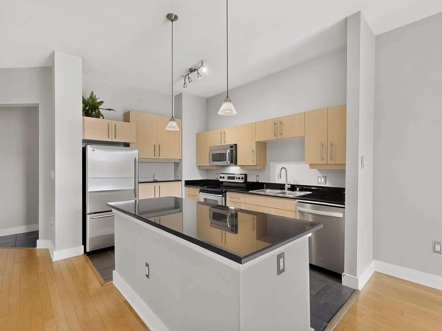 1 bed, 1015 sqft, $2,000 — Photo 2