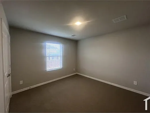 3110 Yellow Pine Dr — Photo 13