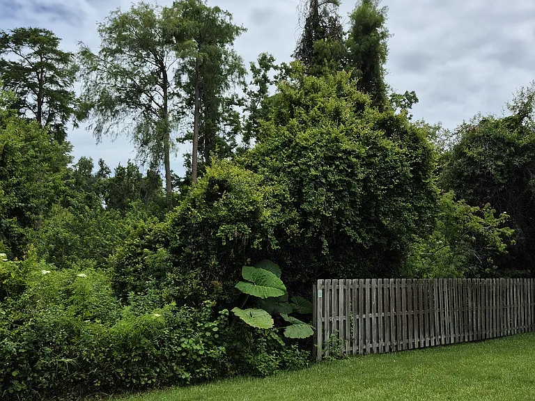 Walton Cir — Photo 10