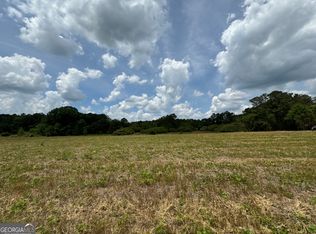 0 W Oglethorpe St #4, Ellaville, GA 31806