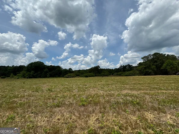 0 W Oglethorpe St #4, Ellaville, GA 31806