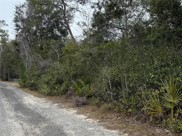 NE 191st Ln Lot 37, Fort Mc Coy, FL 32134