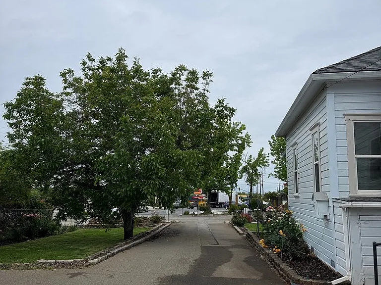1144 Willis St — Photo 21