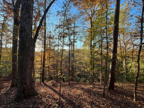 Albritton Rd, Downsville, LA 71234