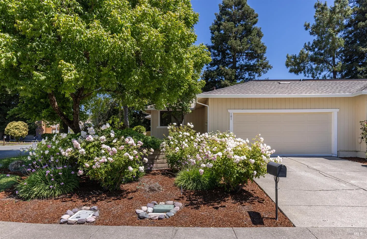 101 Miller Court - Photo 2