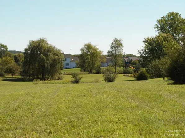 11490 Castleton Ct, Dexter, MI 48130