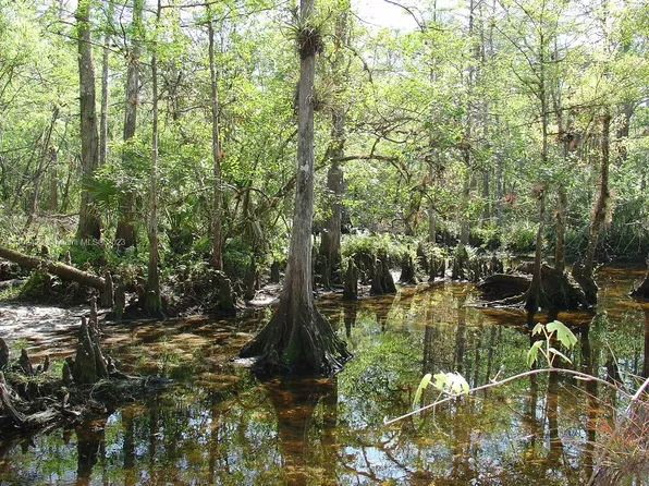 975 Silver Lake Rd, Labelle, FL 33935