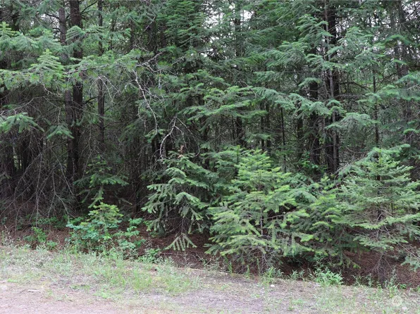 0 Lot 5 Diamond Drive, Newport, WA 99156