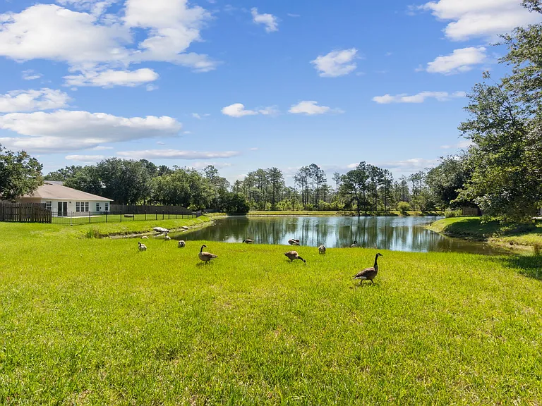 12677 Pine Marsh Way — Photo 12