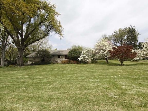 Huge lot with flowering trees