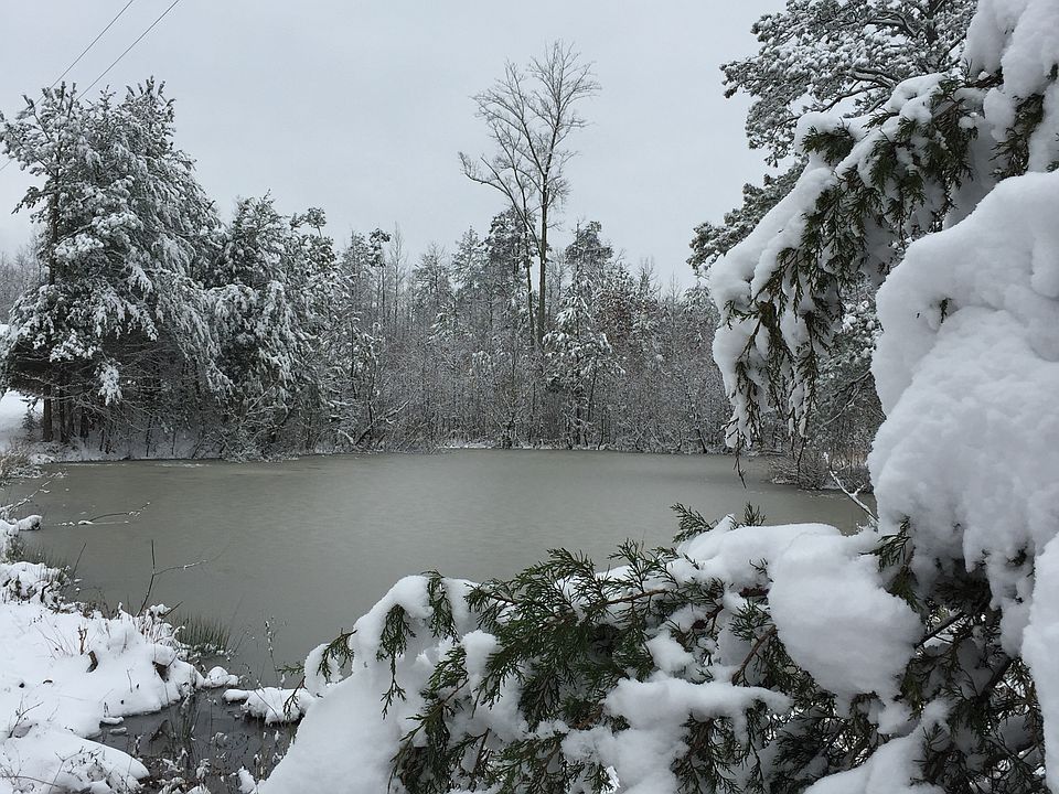2nd image of 294 Chestuee Rd
