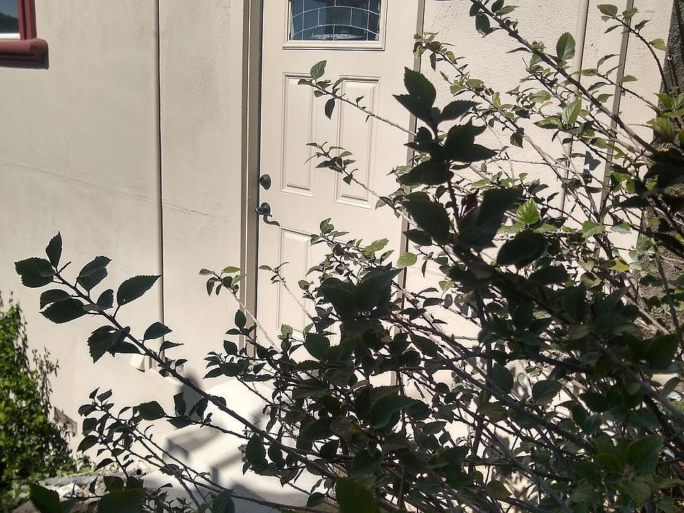 1st image of 3441 Harbor Ct
