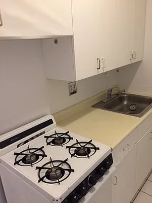 Rented by Eric Goodman Realty Corp | media 13