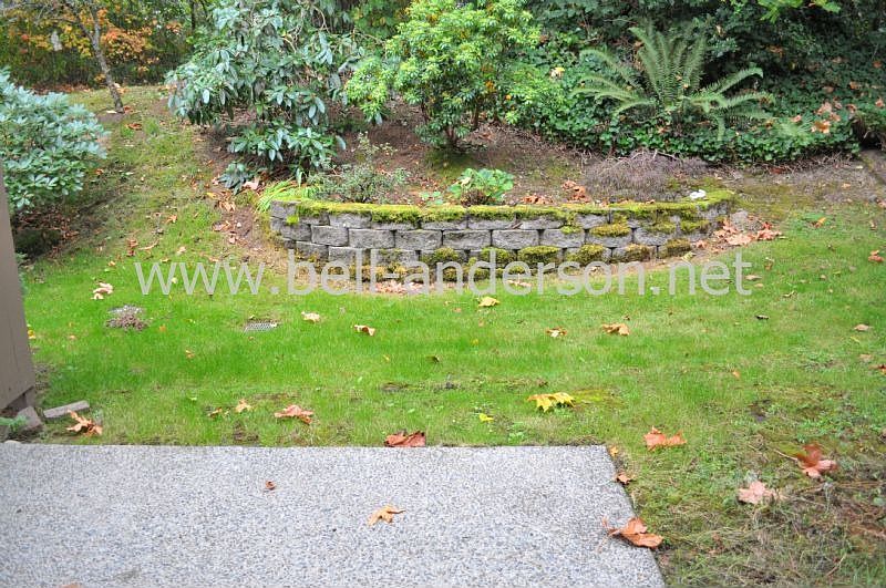 Back Patio