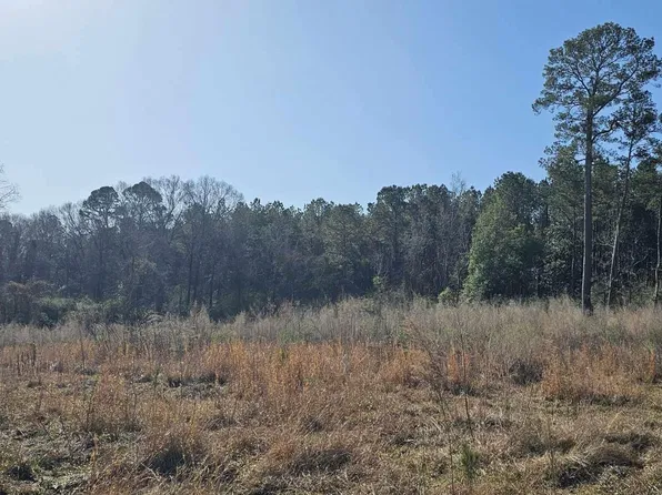 6245 Upper C C Rd, Clinton, LA 70722