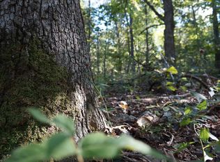 Michaels Rd #300, Edwards, MO 65326