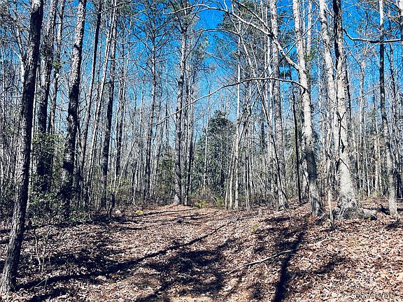 5th image of 0 Old Meriwether Trl
