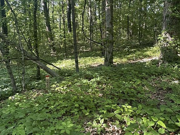 3rd image of Prettiest Sunset Way Lot 4