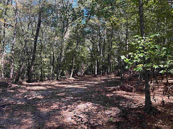 2nd image of 0 Swamp Rabbit Rd Tract A