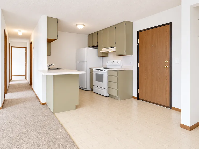 315 4th Ave S #303 — Photo 7