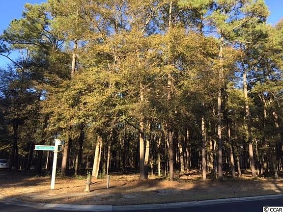 2nd image of 1001 Brantly Ln. Tidewater Plantation lot 737