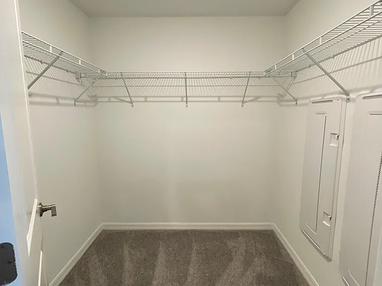 32235 Powderpuff Mimosa Dr — Photo 33