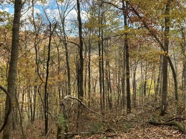 N/a, Kingston, AR 72742