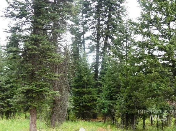 LOT 1 Clements Rd, McCall, ID 83638