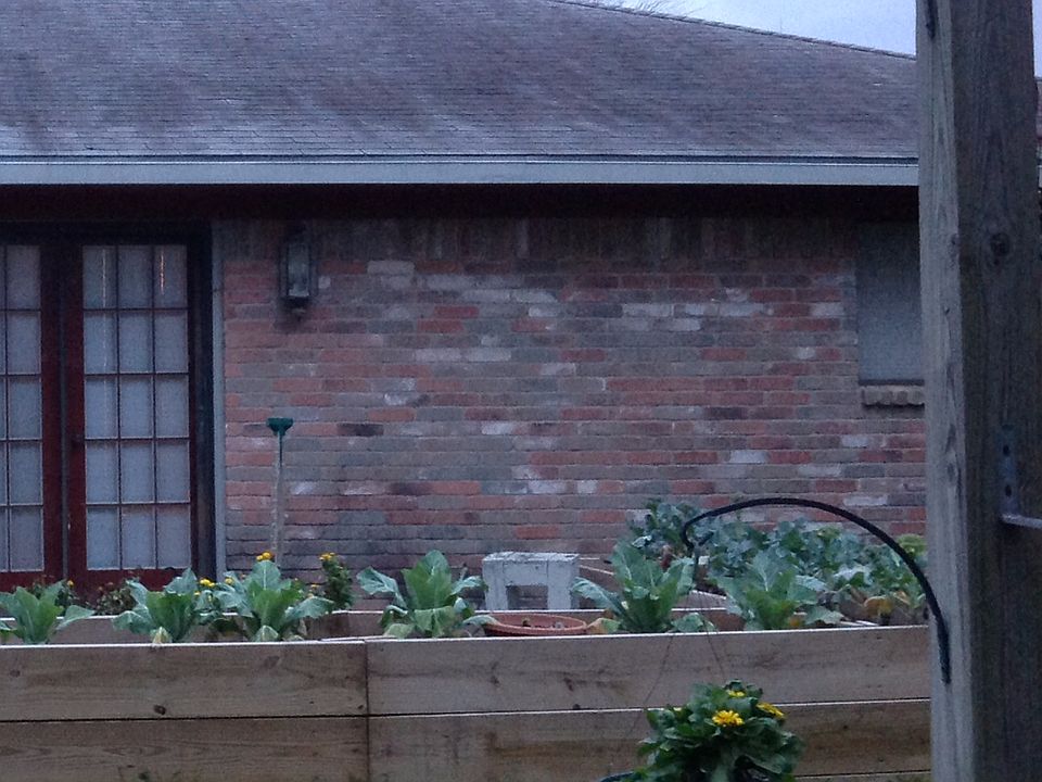 2nd image of 2708 Golden Ave