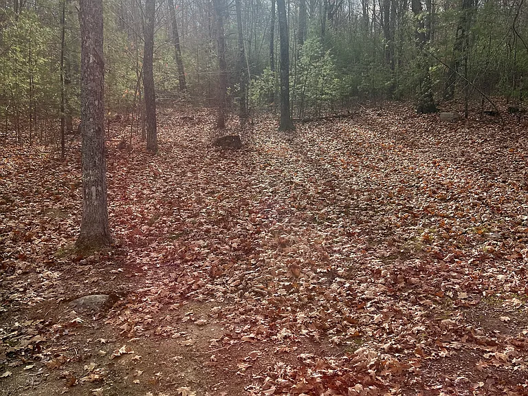 95 Rabbit Valley Rd — Photo 3