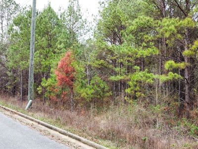 Stonegate Cir #24, Lincoln, AL, 35096