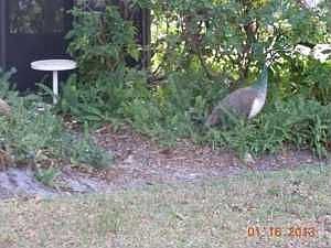 5th image of 7688 Forest Green Ln
