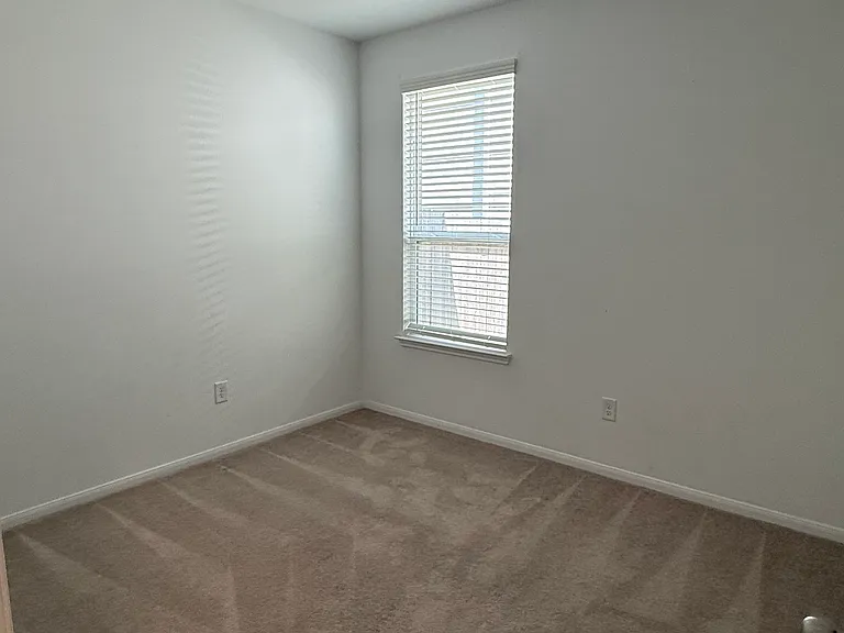 26334 Cedar Sedge Dr — Photo 26