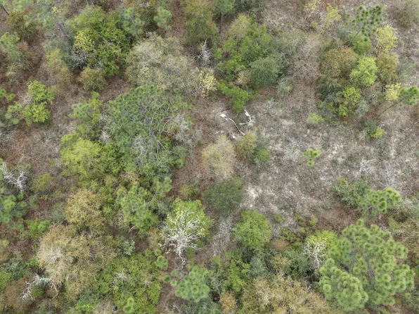 0 Darlington Dr, Chipley, FL 32428