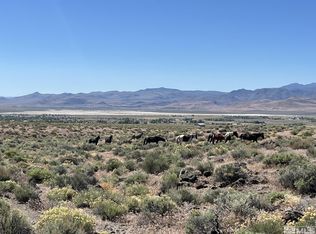 9025 Wildflower Rd, Stagecoach, NV 89429