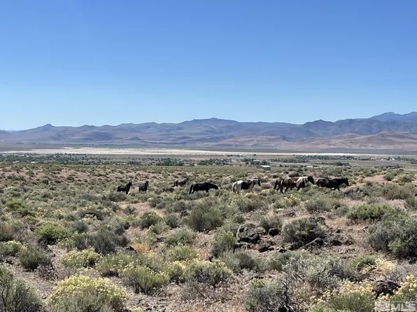 9025 Wildflower Rd, Stagecoach, NV 89429