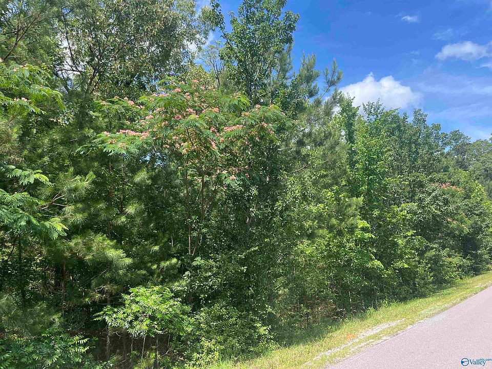 2nd image of 3 Meadow Creek Rd