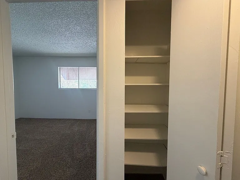 2950 N Alvernon Way #10103 — Photo 18
