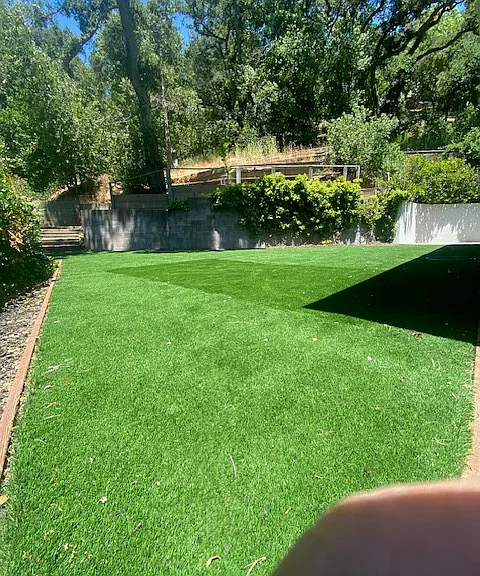 464 Camino Sobrante — Photo 32