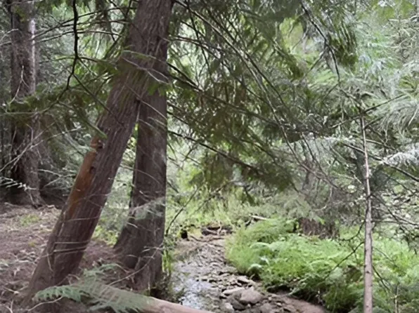 34 N Blanchard Creek Rd, Newport, WA 99156