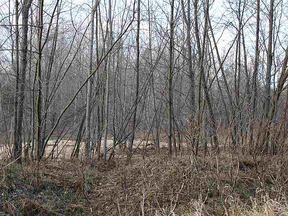 2nd image of 6771 Old Us Highway 31 Hwy #31