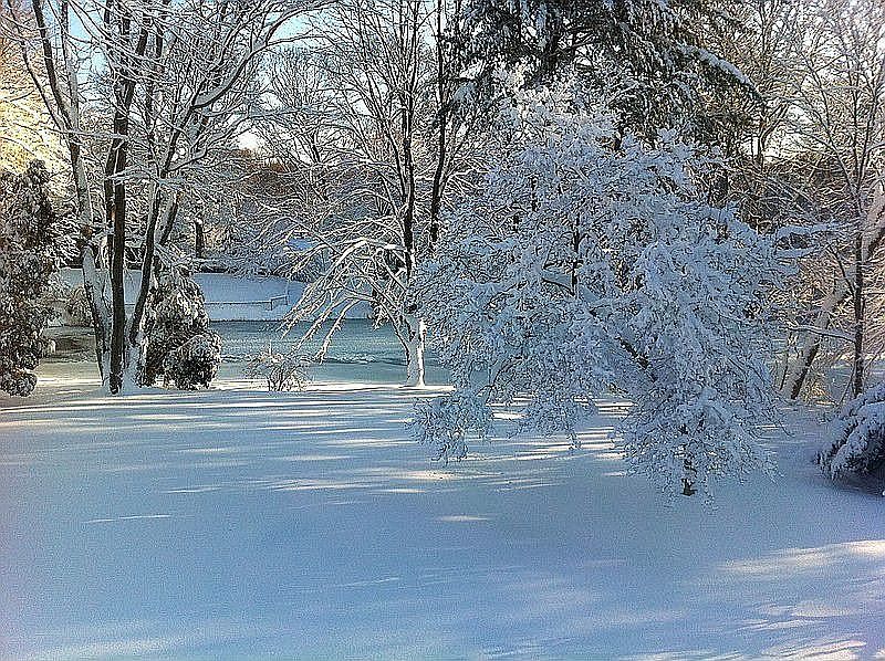 Beautiful backyard