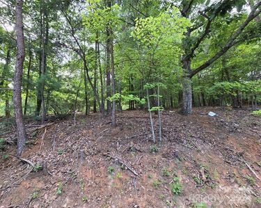 0 Ridgeview Cir #9, Lake Lure, NC, 28746