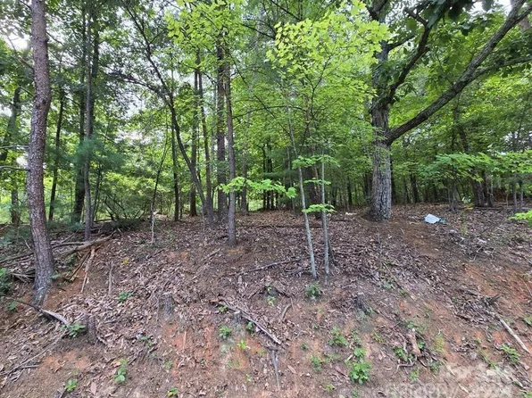 0 Ridgeview Cir #9, Lake Lure, NC 28746