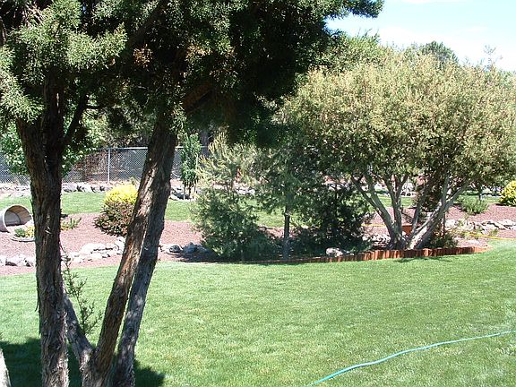5th image of 1033 S Safari Dr