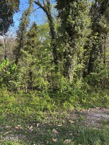 LOT 14 Ashley St, Kingsport, TN, 37664